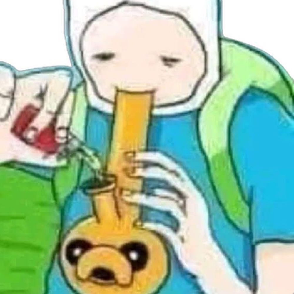 Meet your Posher, carter